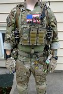 Image result for Tactical Gear Plate Carrier