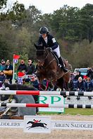 Image result for Eventing Show Jumping