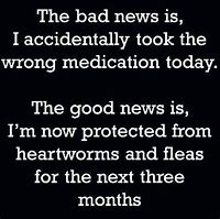 Image result for Funny Quotes 2019 Appropiate