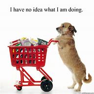 Image result for Shopping Dog Meme
