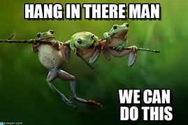 Image result for Hang in There We Got This Meme