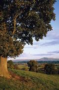 Image result for Powys County