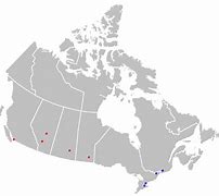 Image result for Canadian Football Teams NFL