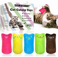 Image result for Big Catnip Toys