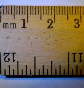 Image result for Life Size 12 Inch Ruler