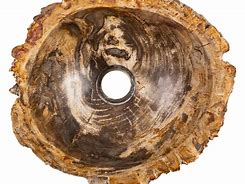 Image result for Petrified Wood Sink
