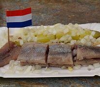 Image result for Holland Herring Fish