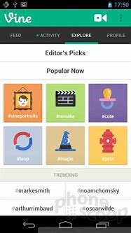 Image result for Vine for You Page App