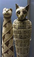 Image result for Ancient Egypt Cat Mummies