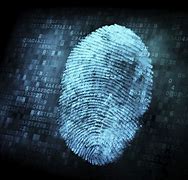 Image result for Fingerprint Digitized iPhone