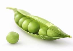 Image result for Pea Dawg