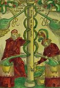 Image result for Medieval Alchemy