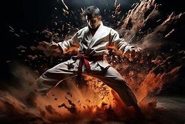 Image result for Martial Arts Poster