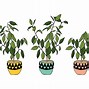 Image result for Plant Screensaver