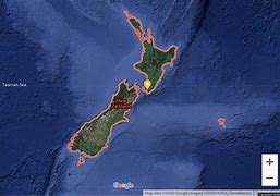 Image result for Google NZSearch