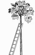 Image result for Tree Ladder Nailed Boards Illustration