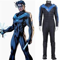 Image result for Nightwing Costume Men