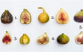 Image result for Fig Fruit Season