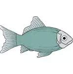 Image result for Fish Vector Clip Art