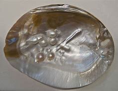 Image result for Mother Pearl Half Flat 6Mm