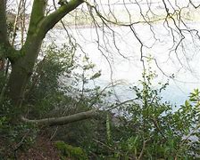 Image result for Afon Menai