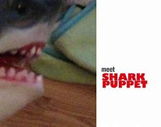 Image result for Shark Puppet Movie