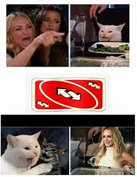 Image result for 2 Women and Cat Meme