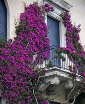 Image result for Beautiful Balconies