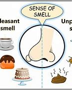 Image result for Smell Bad Odor