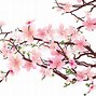Image result for Cherry Blossom Tree Clip Art Free