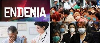 Image result for endemia