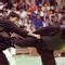 Image result for Deadly Martial Arts