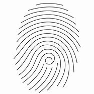 Image result for Fingerprint Sketch