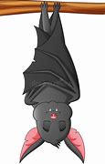 Image result for Cartoon Bat Sleep