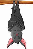 Image result for Bat Sleeping On Stomach Cartoon