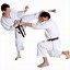 Image result for Karate Cllub
