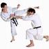 Image result for Karate Strikes and Blocks