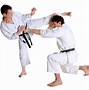 Image result for Karate 2 Types