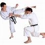 Image result for Karate Kick to Face