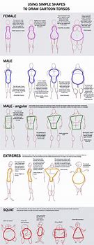 Image result for Basic Body Sketches