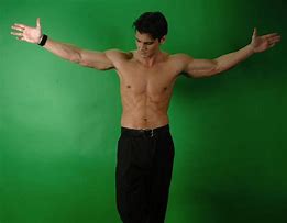 Image result for Pointing Out Arm Pose