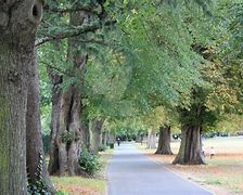 Image result for Parkland Pathway UIUC