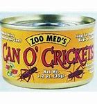 Image result for Crickets for Lizards