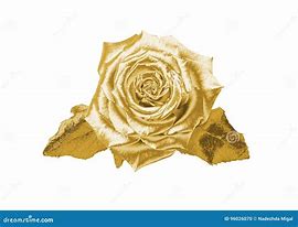 Image result for Rose Gold Flowers