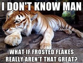 Image result for Animal Meme Pictures