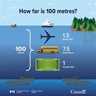Image result for How Big Is 100 Meters