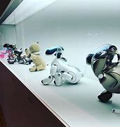 Image result for Sesame Aibo and Other Colors