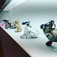Image result for Sony Robotic Dog Aibo