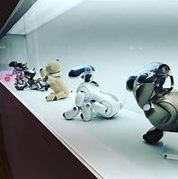 Image result for Aibo Robot Dog Second Handed