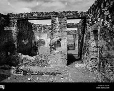 Image result for Pompeii Skull